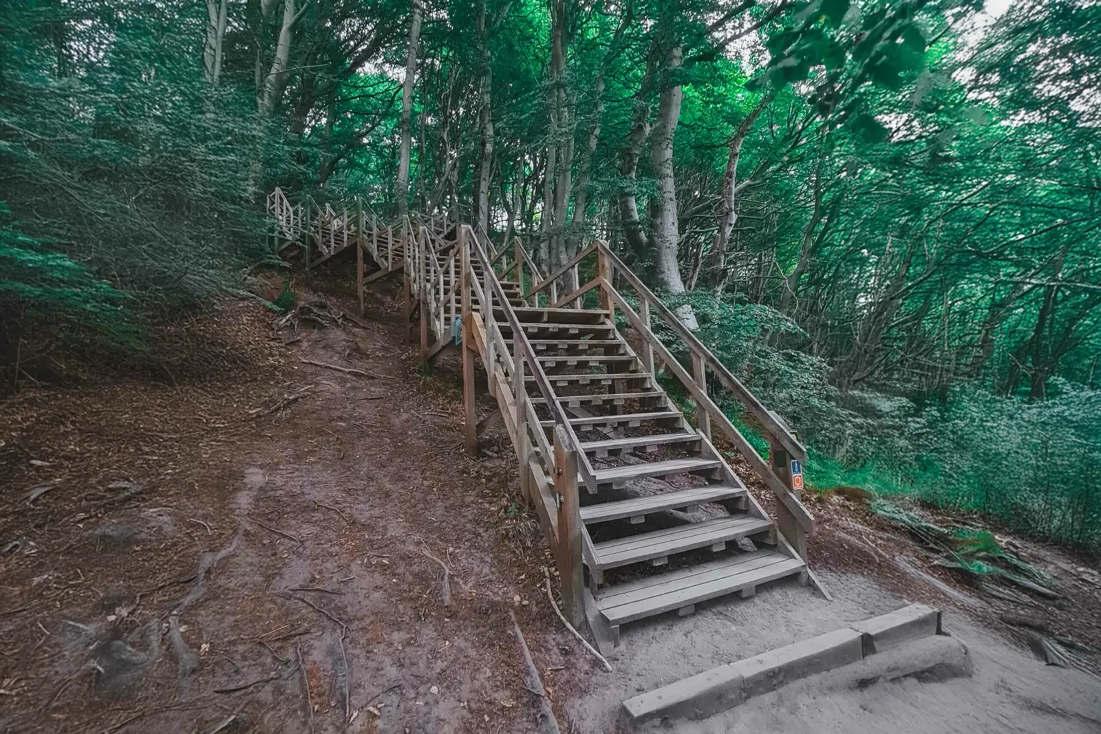 Møns Klint: Kreidefelsen, Treppen & Fossilien