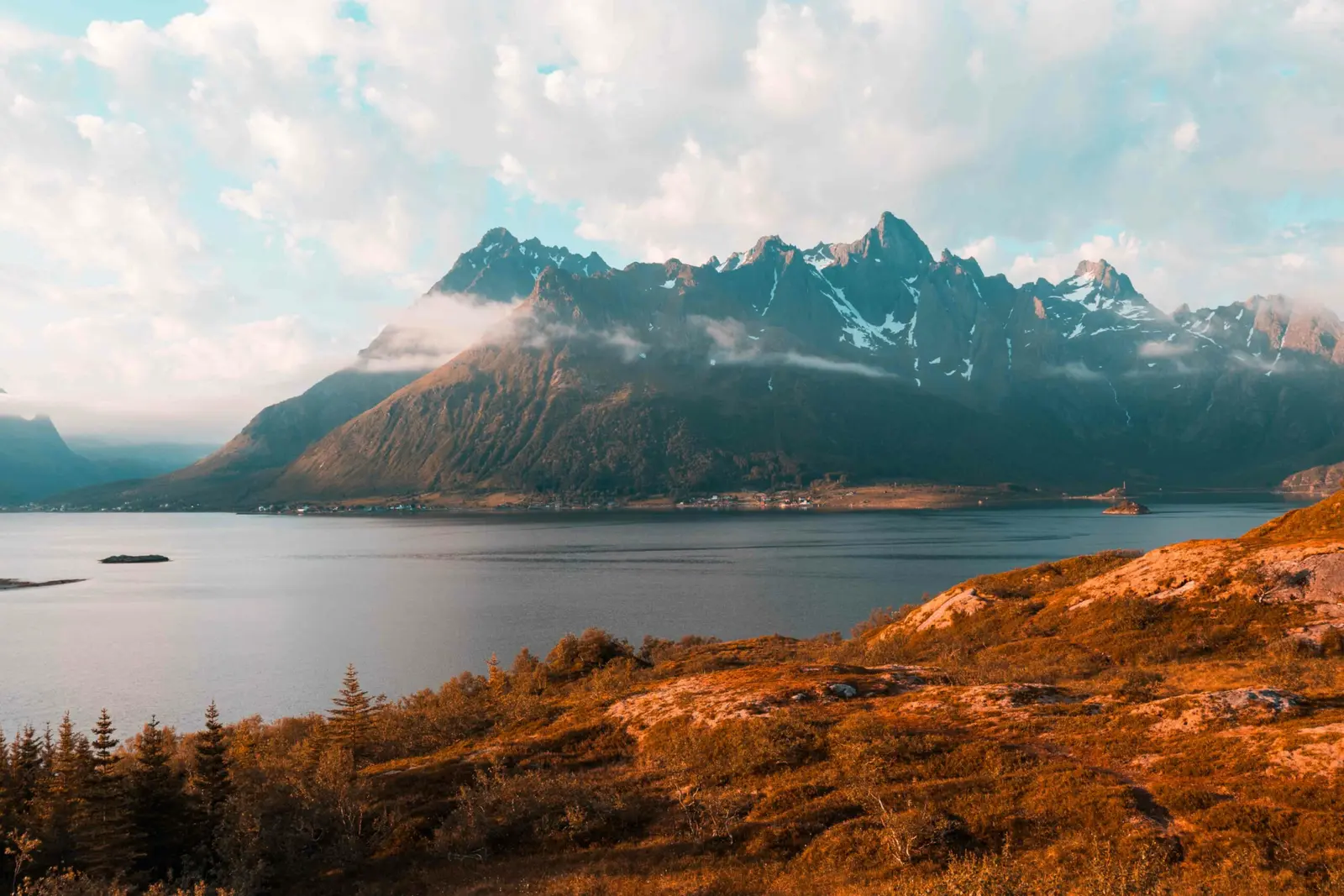 Norwegen mit Hund: Einreise, Bandwurmkur & unsere Praxis-Tipps