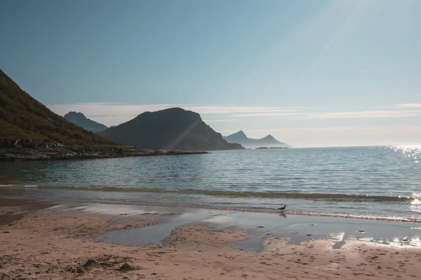Möwe am Wassersaum des Unstadstranden im Gegenlicht der tiefen Sonne