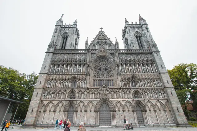Grüne Turmspitze des Nidarosdoms zwischen alten Bäumen in Trondheim
