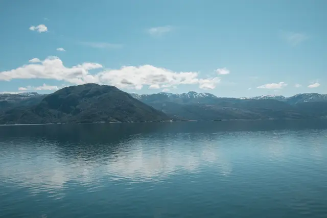 Spiegelglatter Fjord mit bewaldeter Halbinsel und schneebedeckten Gipfeln am Horizont