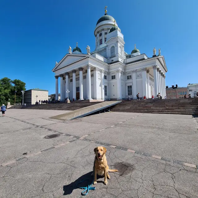 Unser Hund auf dem Senatsplatz vor dem Dom von Helsinki