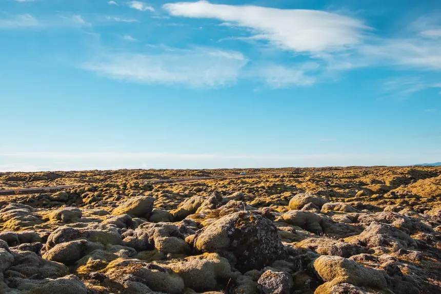 Moosbewachsenes Lavafeld bis zum Horizont an der Straße nach Keflavík
