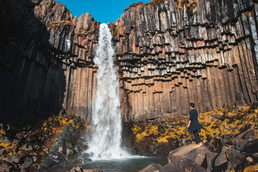 Herbstlich gefärbte Birken am Wanderweg zum Svartifoss