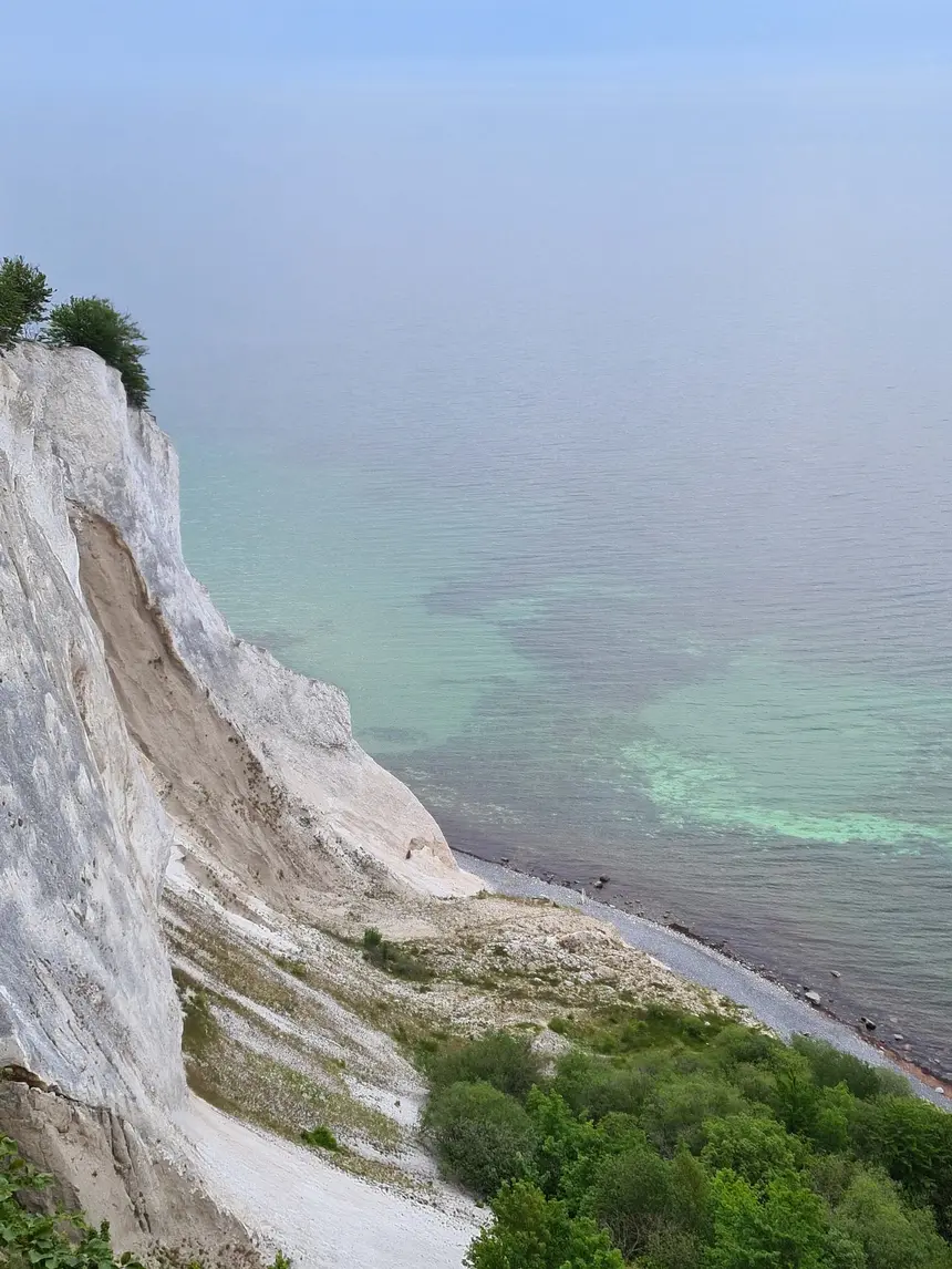 Weiße Kreidefelsen von Møns Klint über türkis schimmernder Ostsee