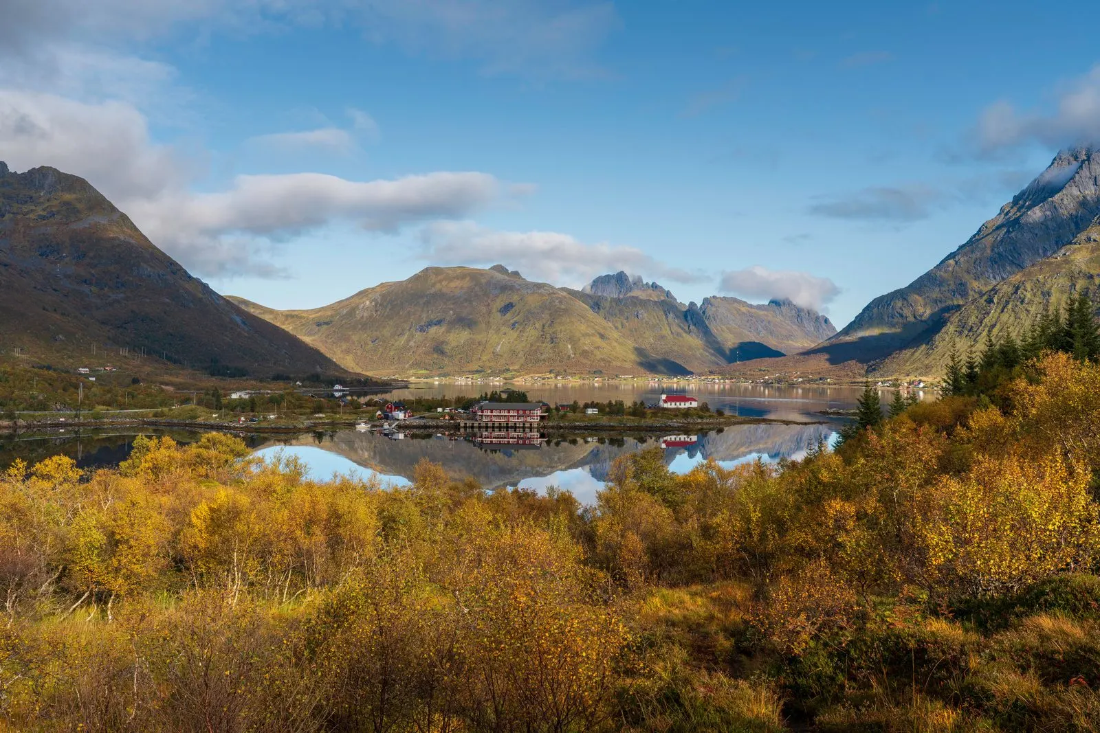 Herbstlich gelb gefärbte Birken vor Fjord und Bergkette in Nordnorwegen