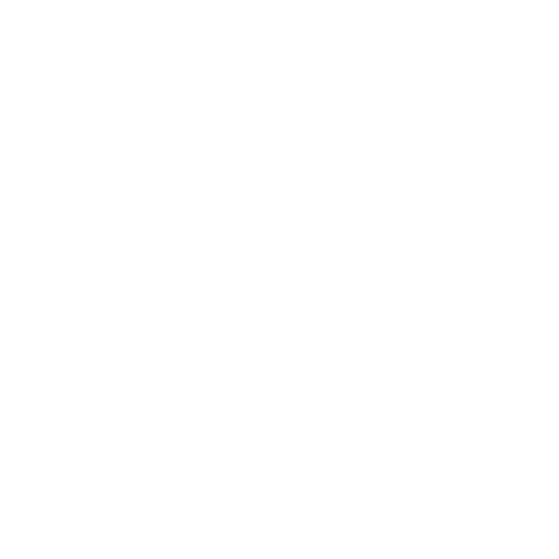 Währung Icon