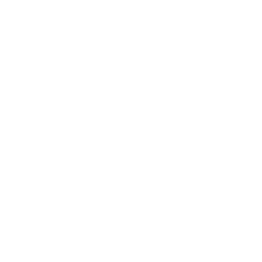 Währung Icon