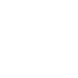 Währung Icon