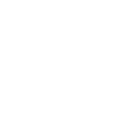 Fährtickets Icon